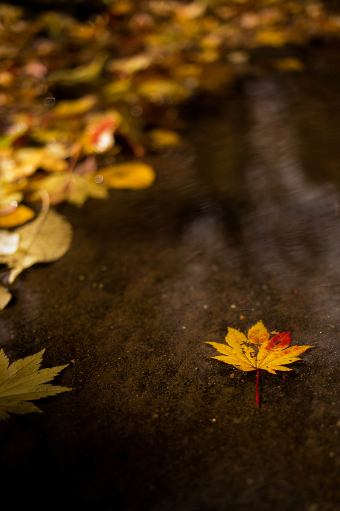 20151025-IMG_9444