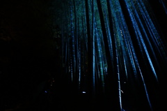 DSC01709