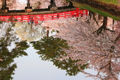 桜～水面に揺らめく世界～