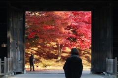 弘前公園の秋･南内門Ⅱ