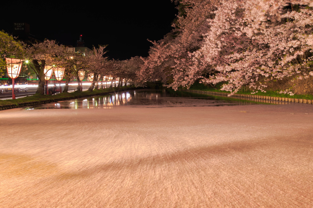 弘前公園の夜・花筏