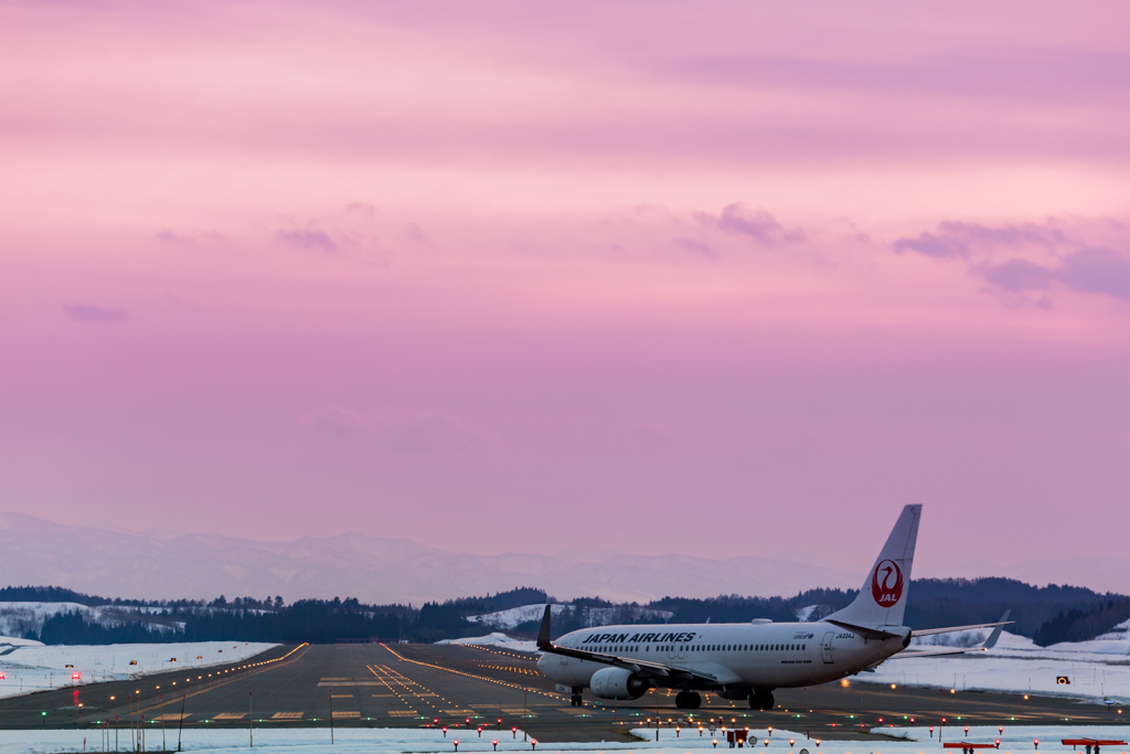 淡い空へ