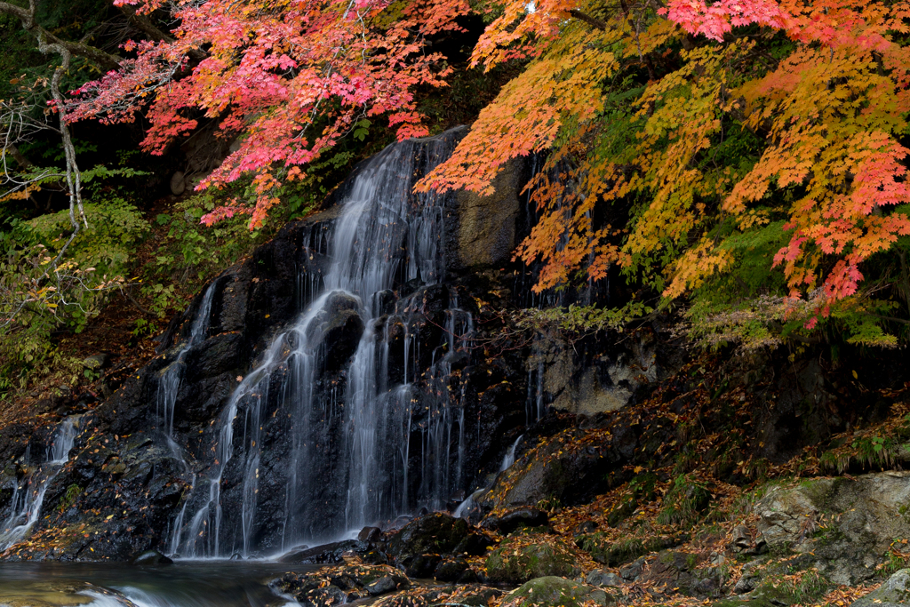 中野もみじ山・不動の滝