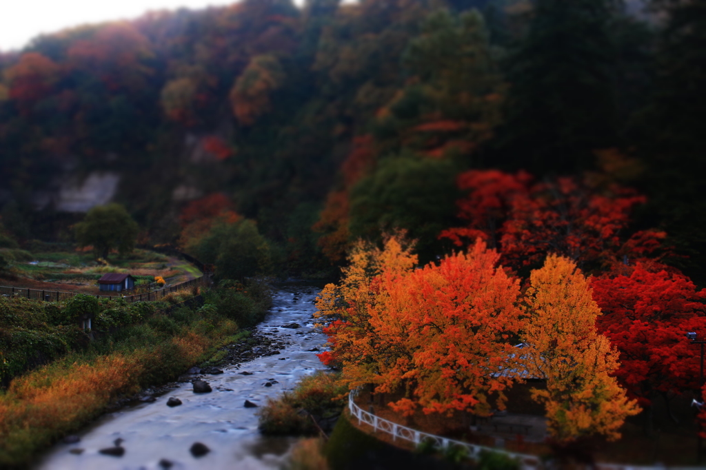 朝の静寂