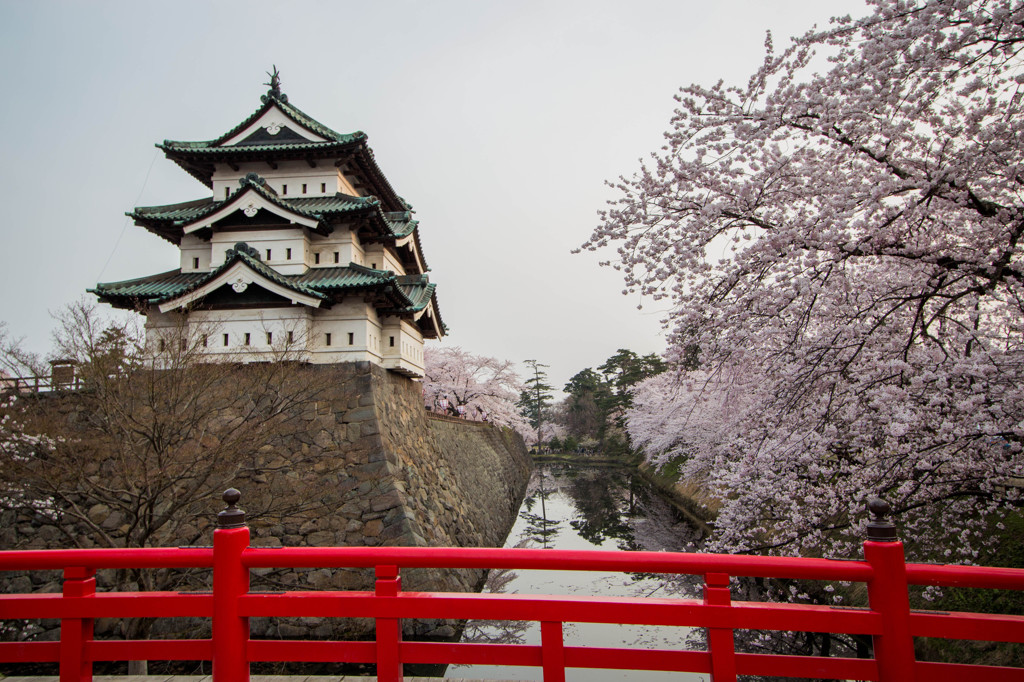 今年で見納め～弘前城と桜～