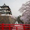 今年で見納め～弘前城と桜～