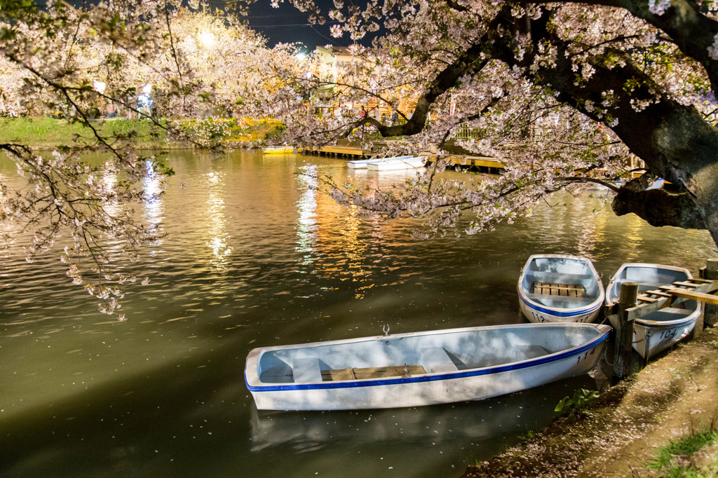 弘前公園の夜・西濠