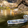 弘前公園の夜・西濠