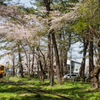 津軽鉄道～桜のころ～