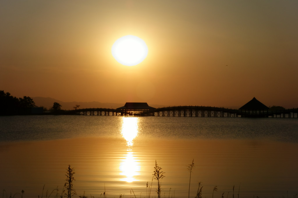 ４月１６日～鶴の舞橋～