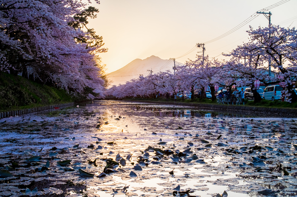 弘前公園の夕暮れ