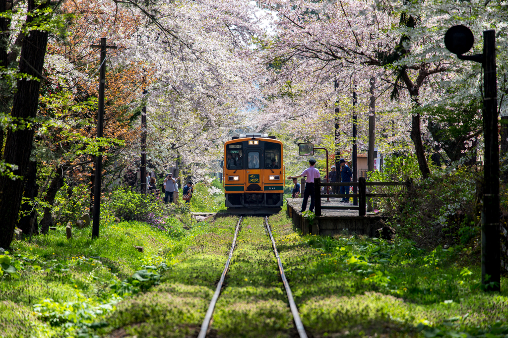 津軽鉄道・春の思い出
