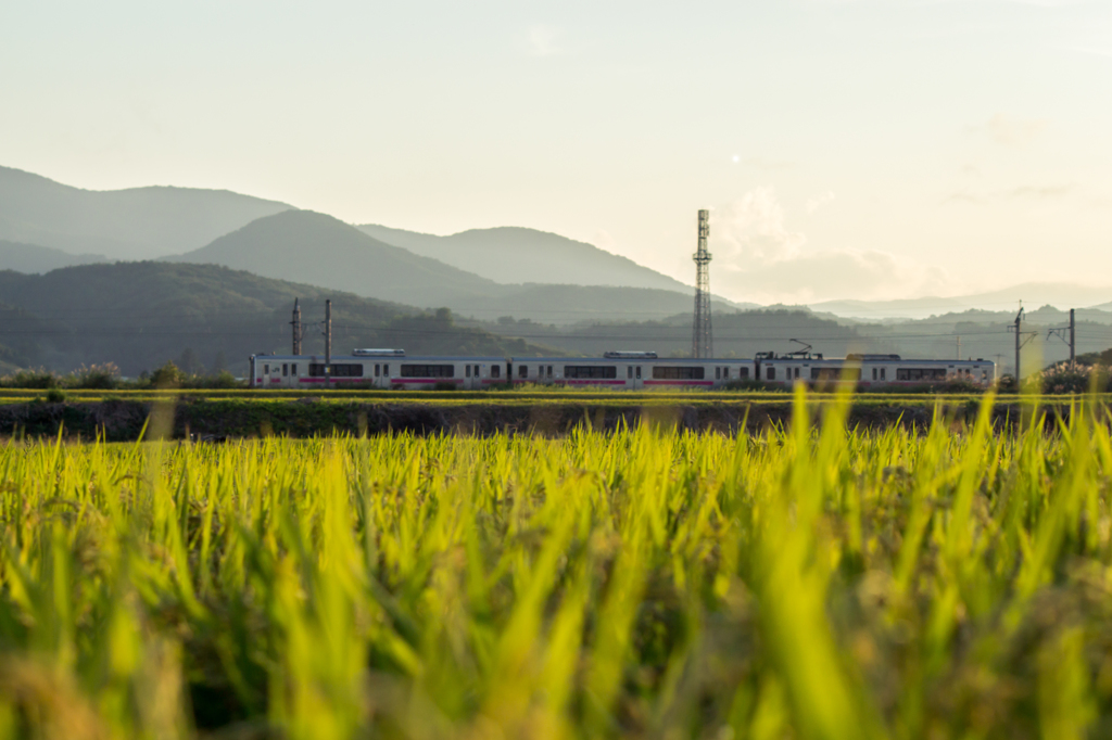 奥羽本線普通列車
