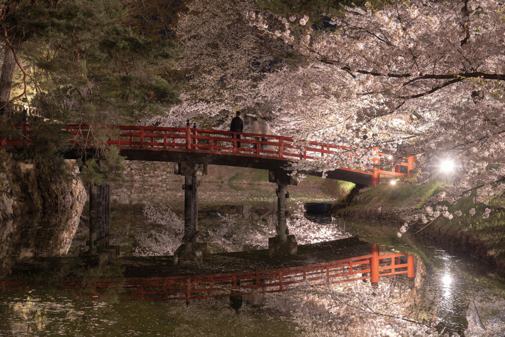 弘前公園・春の夜