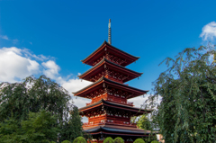 最勝院・五重塔Ⅱ