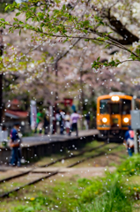 津軽鉄道の春2016