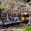 津軽鉄道の春2016