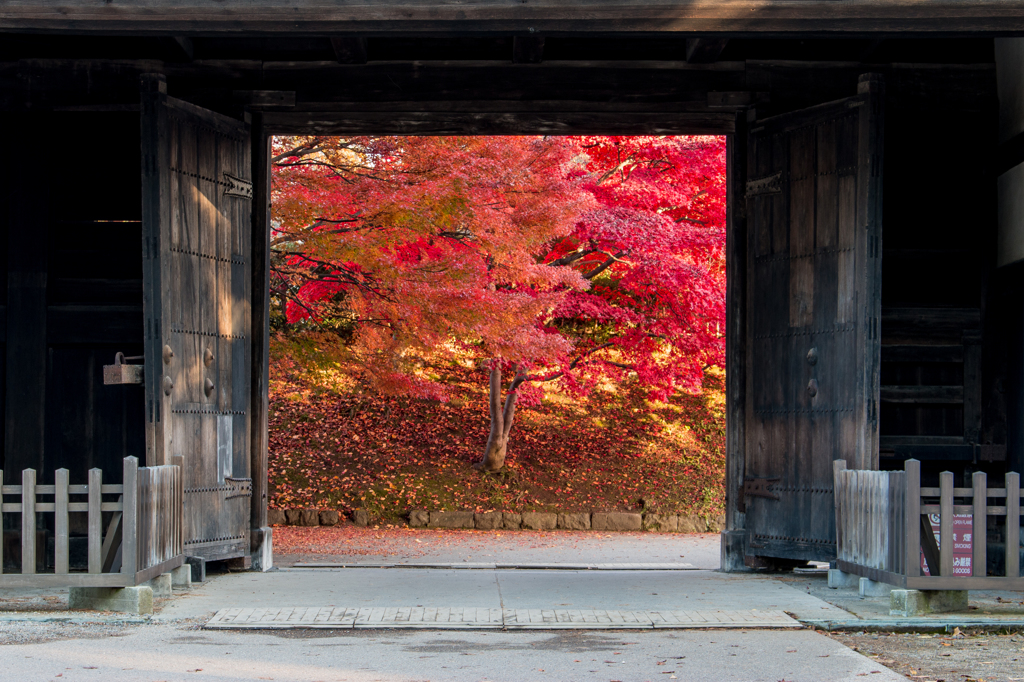 弘前公園の秋・南内門