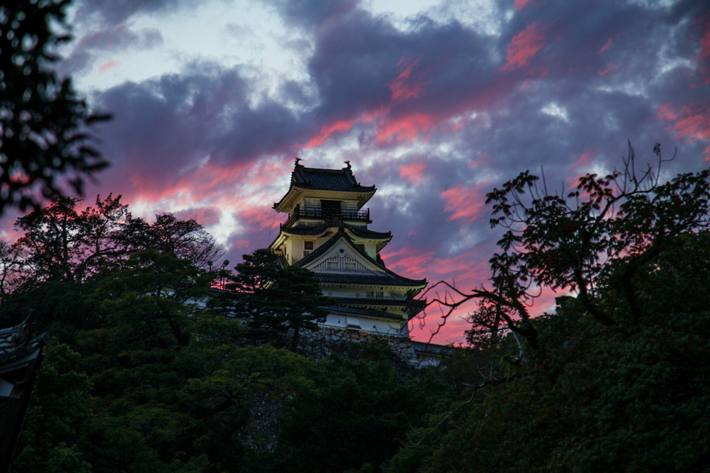 高知城の夕暮れ