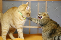 雫と優月と寒耐に包まれて