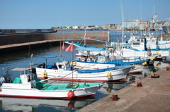 IMG_6442n