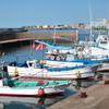 IMG_6442n