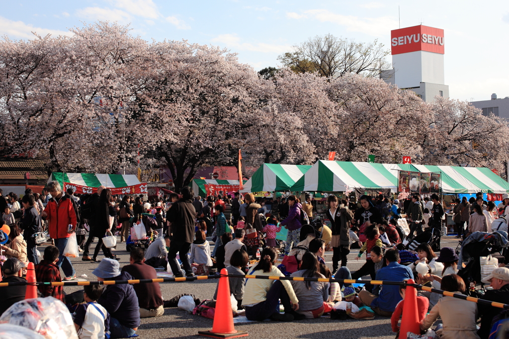 街の桜まつり2