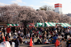 街の桜まつり2