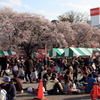 街の桜まつり2