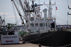 IMG_6428n