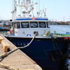 IMG_6397n