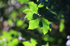 公園にて１