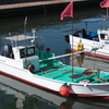 IMG_6444n