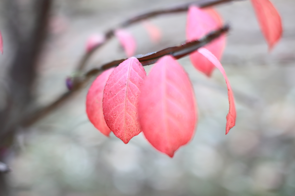 公園にて5