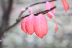 公園にて5