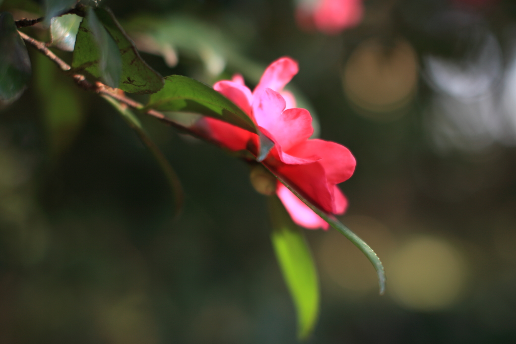 公園にて4