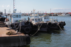 IMG_6403n