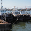 IMG_6403n