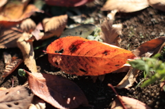 公園にて3