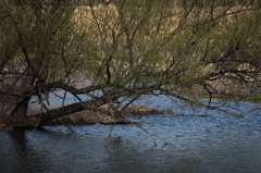 IMG_5471