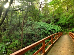 静岡県立森林公園