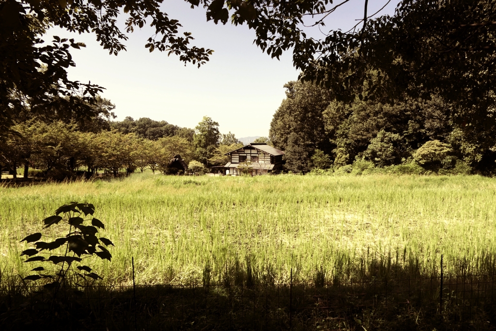 ぎふ清流里山公園古民家