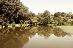 ぎふ清流里山公園