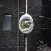 大雪と時計