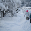 慣れない雪道