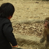 俺　対　ボスざる