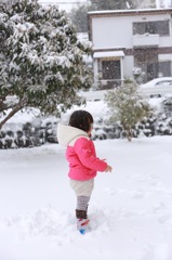 初めての雪