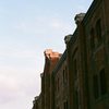 No.41