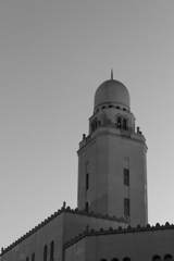 No.155