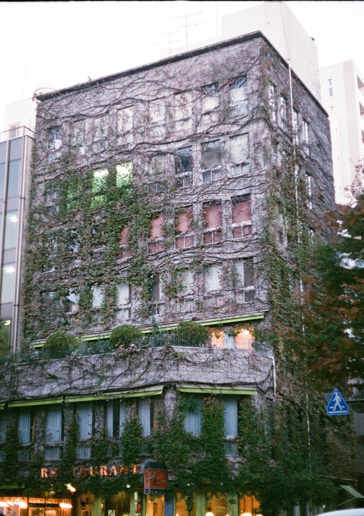 No.54